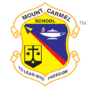 Mcs Logo